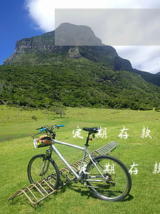 定期存款質(zhì)押無(wú)力償還(定期存款質(zhì)押無(wú)力償還怎么處理)