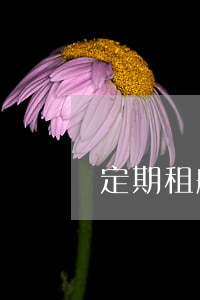 定期租船合同的含義