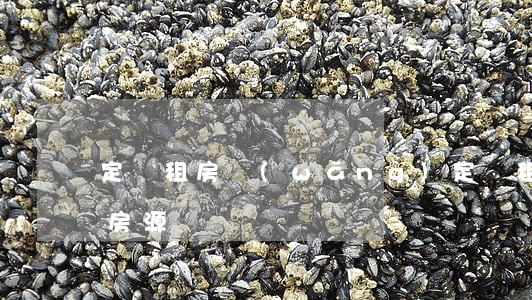 定興租房網(wǎng)(定興租房信息個人房源)