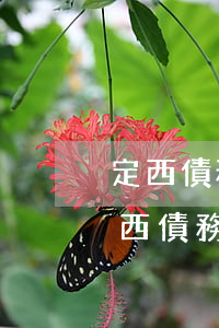 定西債務(wù)合同律師預(yù)約（定西債務(wù)合同律師預(yù)約）