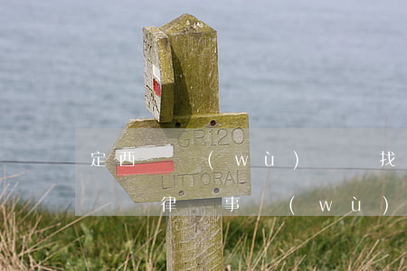 定西債務(wù)糾紛找律師(債務(wù)糾紛律師事務(wù)所)