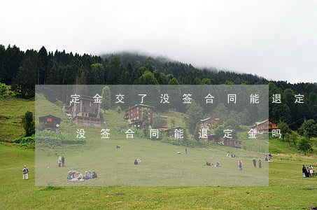 定金交了没签合同能退定金吗(婚庆定金交了没签合同能退定金吗)