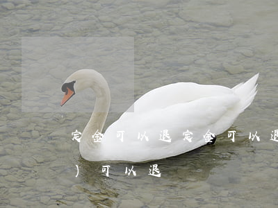 定金可以退(定金可以退嗎?銷售說(shuō)可以退)