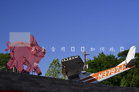 定金合同糾紛如何抗訴(定金與訂金的糾紛案例)