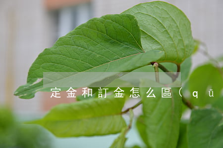 定金和訂金怎么區(qū)分