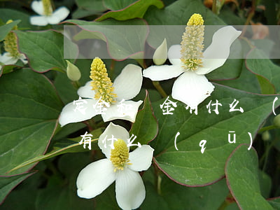 定金和訂金有什么區(qū)別(定金和訂金有什么區(qū)別哪個(gè)可以退)