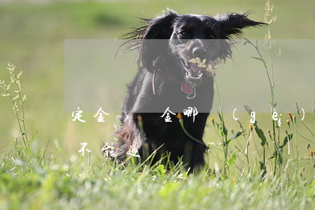 定金與訂金哪個(gè)能退哪個(gè)不能退
