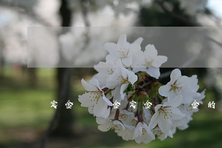 定金與訂金(定金與訂金的區(qū)別)