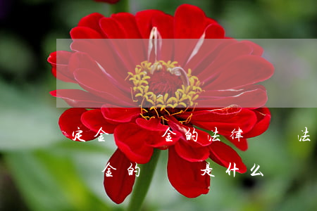 定金與訂金的法律區別(法律意義上的定金與訂金的區別是什么?)