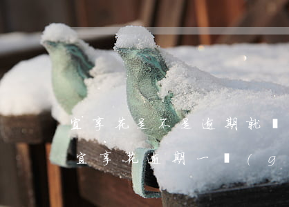 宜享花是不是逾期就凍結(jié)額度-宜享花逾期一個(gè)月