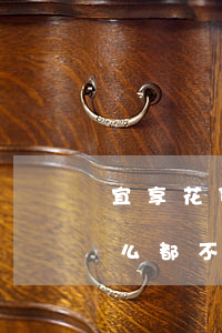 宜享花贷款逾期怎催收 宜享花逾期10天,怎么都不打电话催呢