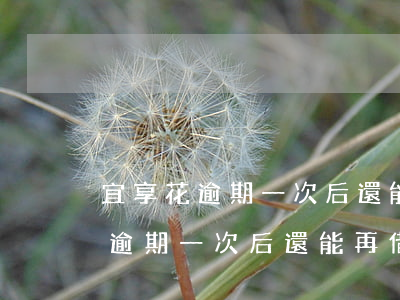宜享花逾期一次后還能再借出來嗎-宜享花逾期一次后還能再借出來嗎安全嗎