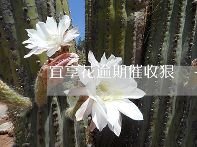 宜享花逾期催收狠嗎-宜享花逾期催收厲害嗎