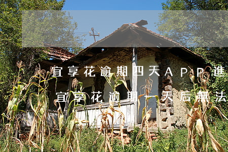 宜享花逾期四天APP進(jìn)不去了(宜享花逾期一天后無法還款)