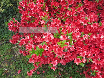 宜享花 逾期（宜享花逾期会被起诉吗）