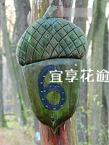 宜享花逾期说要上门是不是真的-