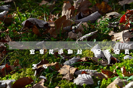 宜享花逾期起訴是不是真的(宜享花逾期兩天怎么樣)
