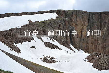 宜享貸逾期(宜享貸逾期)