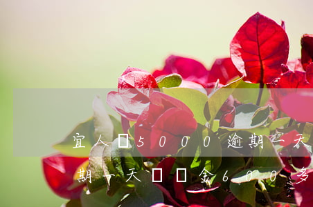 宜人貸5000逾期一天700-宜人貸逾期一天違約金600多合理嗎