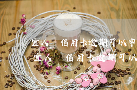 宜人貸信用卡逾期可以申請(qǐng)嗎(宜人貸信用卡逾期可以申請(qǐng)嗎上征信嗎)