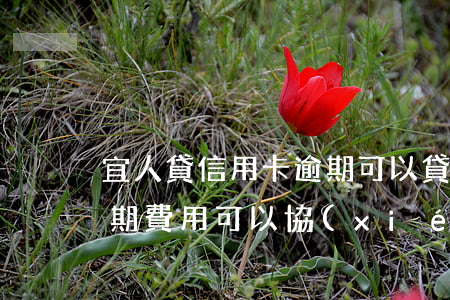 宜人貸信用卡逾期可以貸款(宜人貸逾期了逾期費用可以協(xié)商減免嗎)