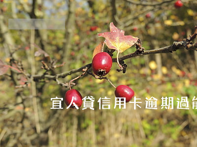 宜人貸信用卡逾期過能貸嗎