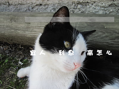 宜人貸利息過高怎么辦（宜人貸逾期利息太高）