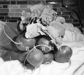 宜人貸和有用分期逾期了怎么辦-
