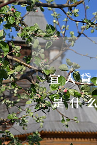 宜人貸廣發(fā)還款授權(quán)是什么意思-宜人貸廣發(fā)還款授權(quán)是什么意思啊