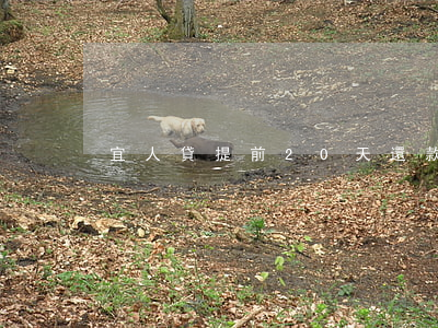 宜人貸提前20天還款算違約嗎-
