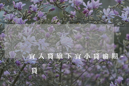 宜人貸旗下宜小貸逾期-宜人貸里邊的宜小貸