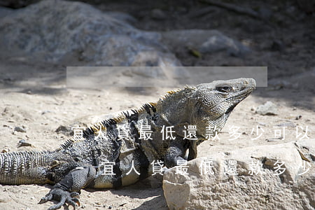 宜人貸最低還款多少可以批下來(lái)-宜人貸最低還款多少可以批下來(lái)啊