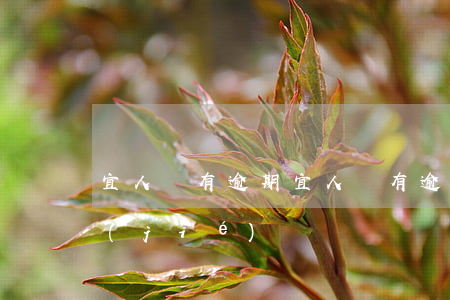 宜人貸有逾期(宜人貸有逾期微信零錢被凍結(jié))