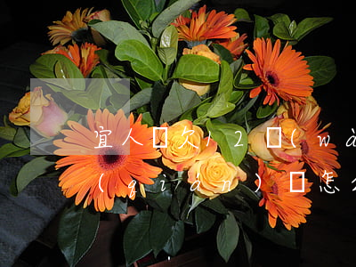 宜人貸欠12萬(wàn)沒(méi)錢(qián)還怎么辦(借了宜人貸的錢(qián)還不上怎么辦)