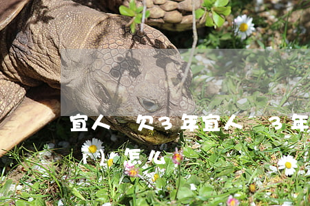 宜人貸欠3年(宜人貸3年沒有還了會(huì)怎么樣)