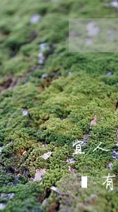 宜人貸欠8000(宜人貸欠錢沒錢還怎么弄,沒有固定資產(chǎn))