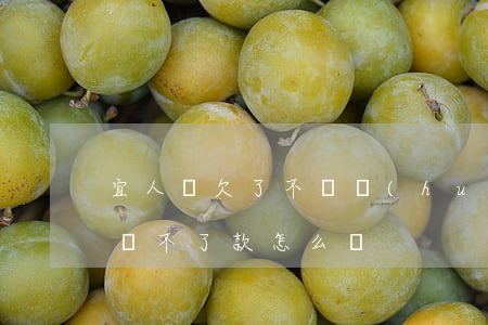 宜人貸欠了不還會(huì)怎么樣(宜人貸還不了款怎么辦)