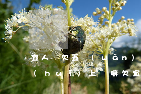 宜人貸欠五萬(wàn)沒(méi)還會(huì)上門嘛(欠宜人貸5萬(wàn)還不上,說(shuō)過(guò)幾天就要上門催債)