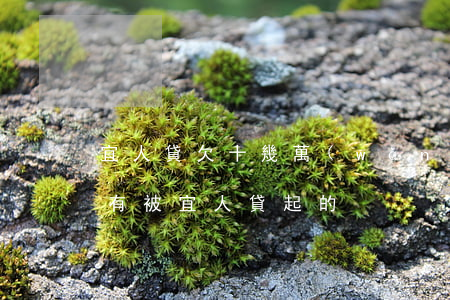 宜人貸欠十幾萬(wàn)(有沒(méi)有被宜人貸起的)