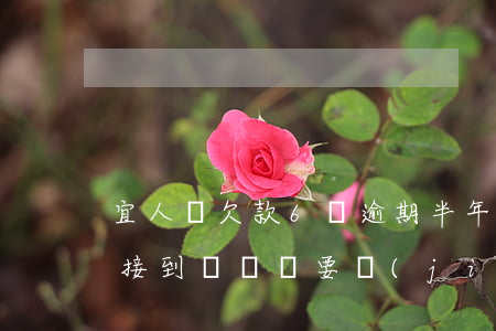 宜人貸欠款6萬逾期半年(宜人貸逾期15天接到電話說要結(jié)清是真的嗎)