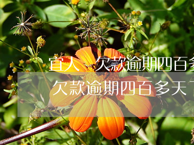 宜人貸欠款逾期四百多天了怎么辦-宜人貸欠款逾期四百多天了怎么辦啊