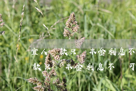 宜人貸款只還本金利息不還可以嗎-宜人貸款只還本金利息不還可以嗎