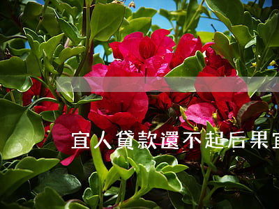宜人貸款還不起后果(宜人貸款還不起后果)