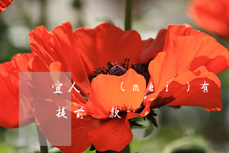 宜人貸沒(méi)有廣發(fā)卡可以提前還款-
