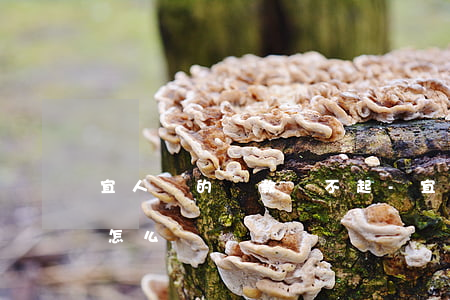 宜人貸的貸款還不起-宜人貸的貸款還不起怎么辦