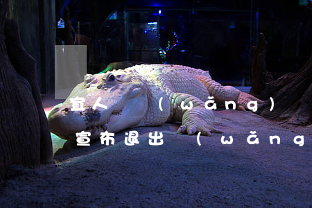 宜人貸網(wǎng)貸逾期10天(宜人貸宣布退出網(wǎng)貸)