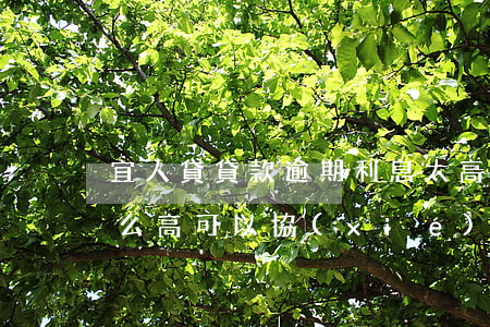 宜人貸貸款逾期利息太高(宜人貸逾期利息那么高可以協(xié)商解決嗎)