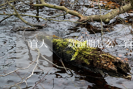 宜人貸貸款逾期怎么辦(宜人貸貸款逾期怎么辦)