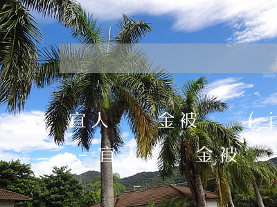 宜人貸資金被凍結(jié)了還總還款嗎-宜人貸資金被凍結(jié)了還總還款嗎怎么辦