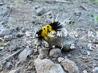 宜人貸逾期3天還款(宜人貸逾期2年了現(xiàn)在說可以減免還款金額)